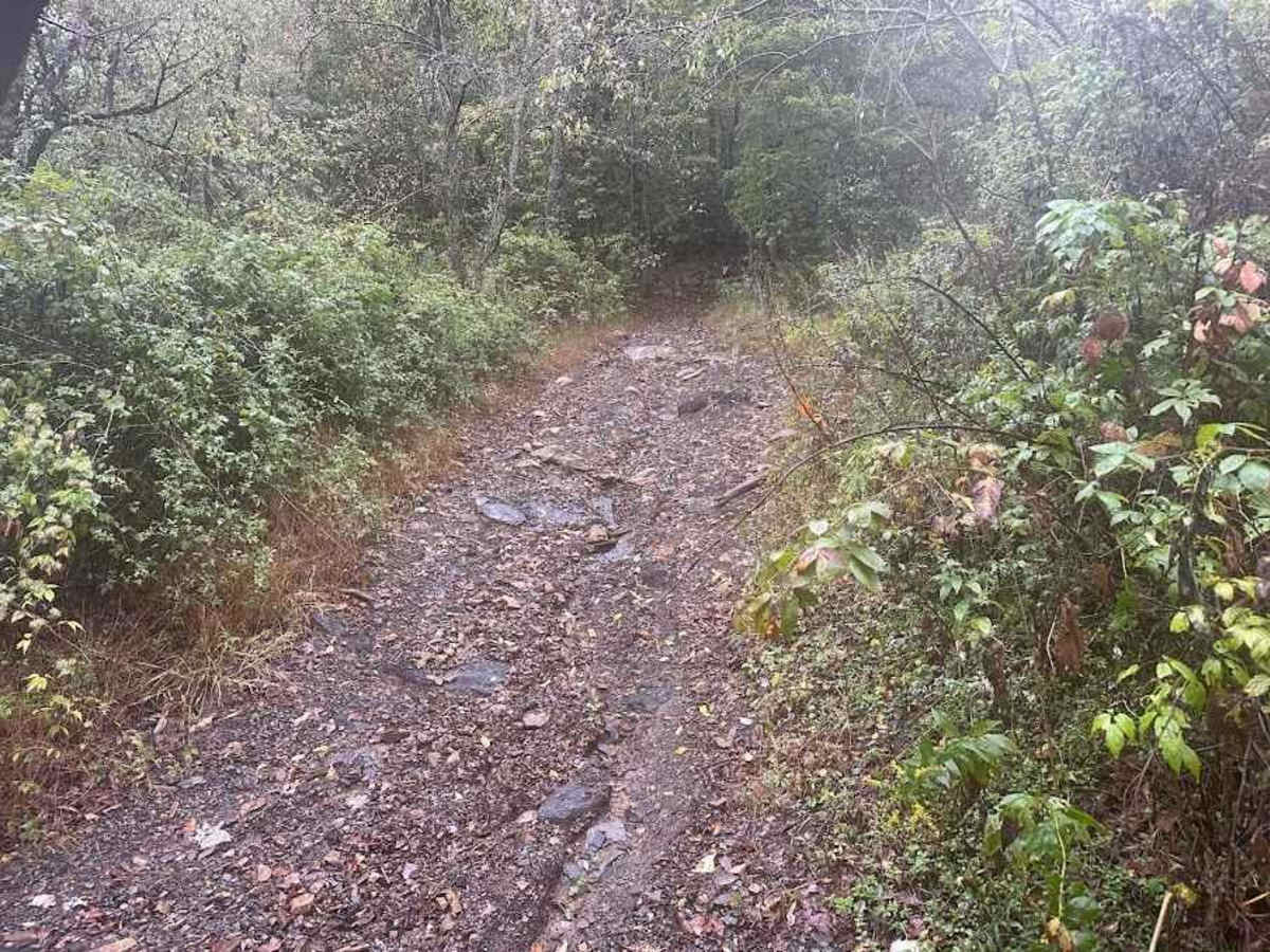 Black Hillclimb photo 5