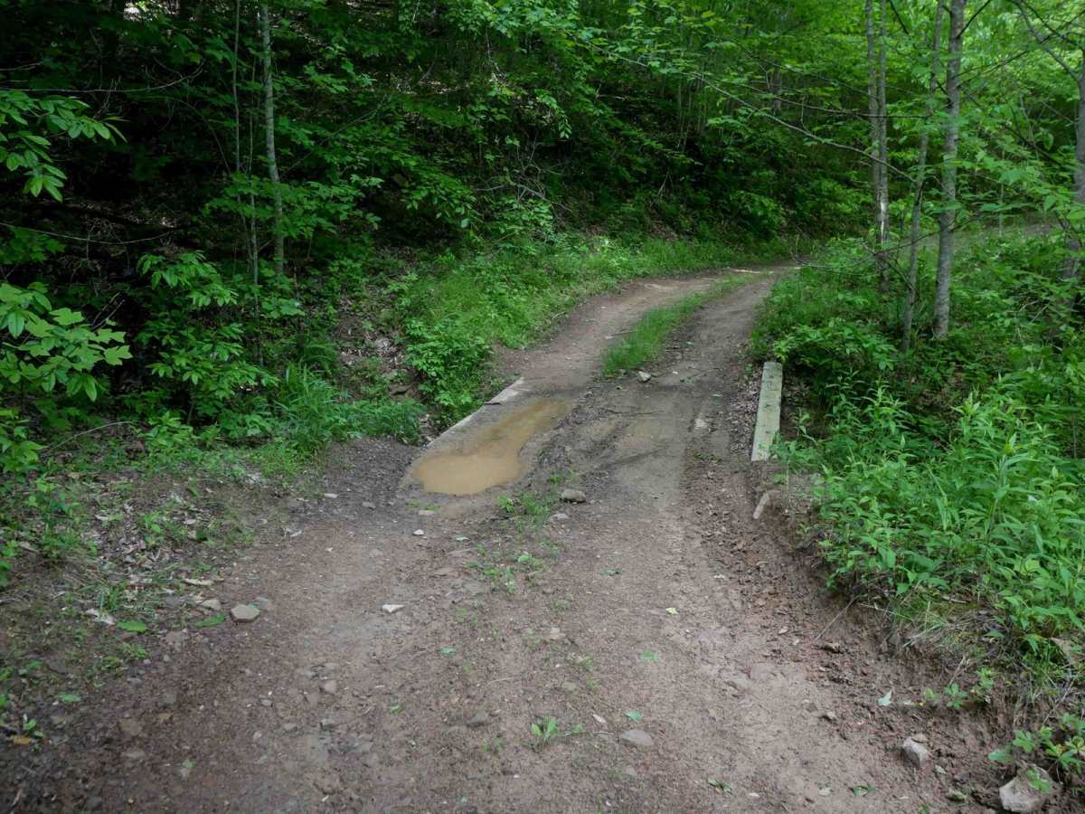 RV25 photo 4