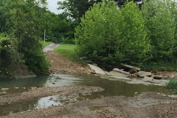Beech Fork  Road