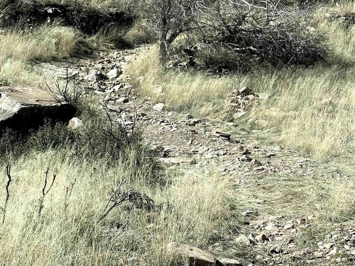 Buzzard Tank Trail photo 3