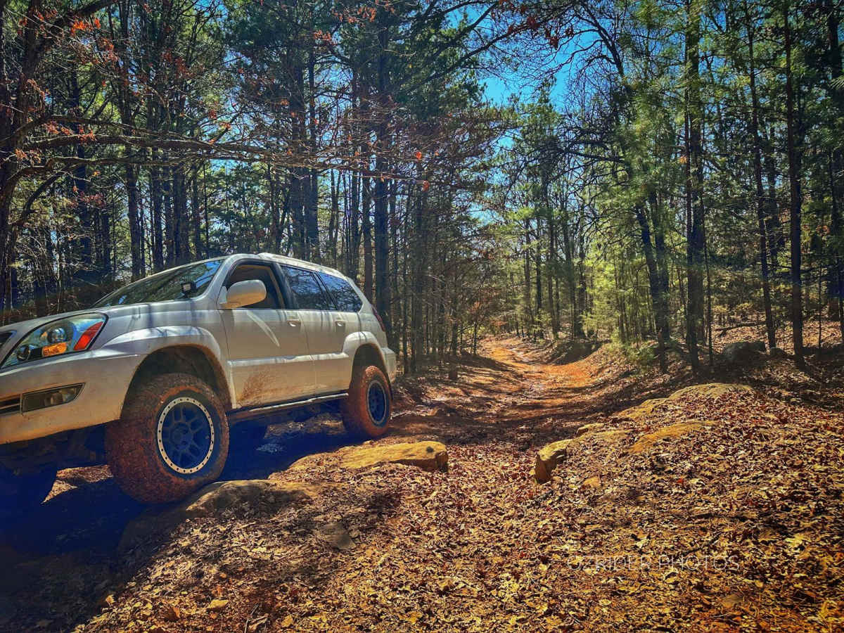 Pannell Road trail photo