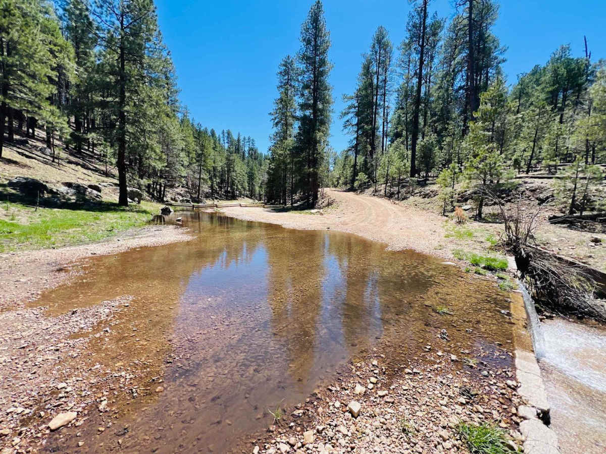 Clover Spur Maintained trail photo