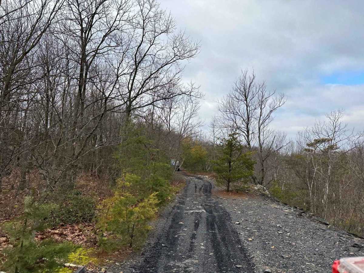 Locust Gap 77 photo 4