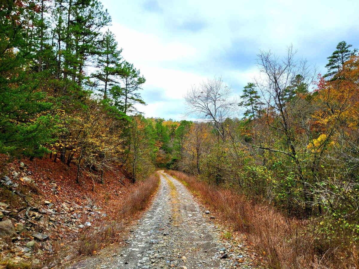 Shell Rock Road photo 4