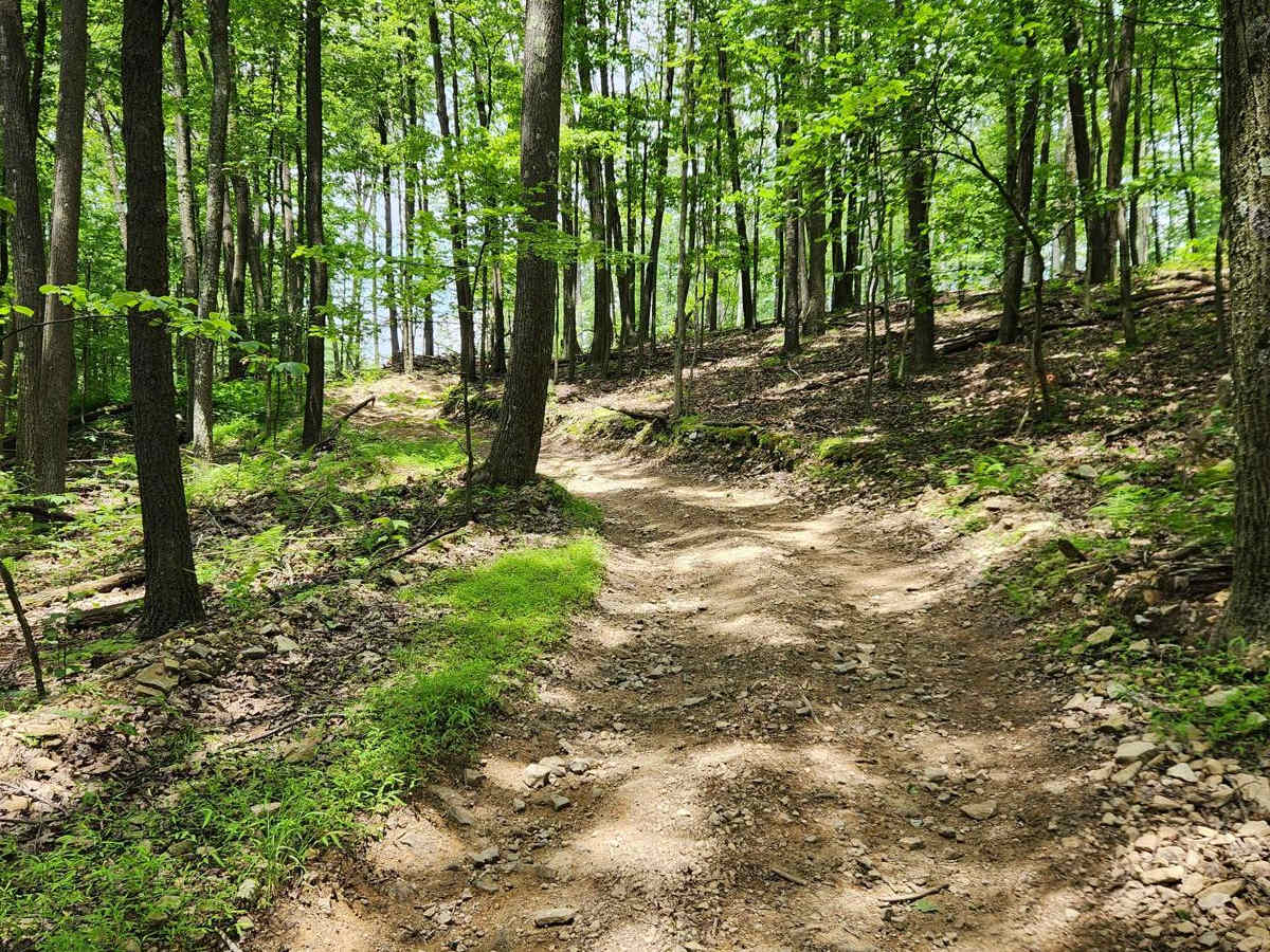 Trail 4 - Rock Run Recreation Area photo 5