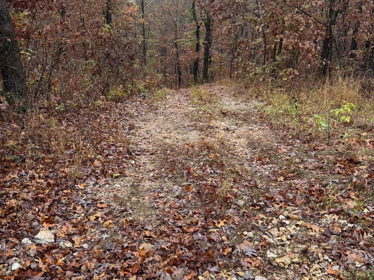 Green 92 trail photo