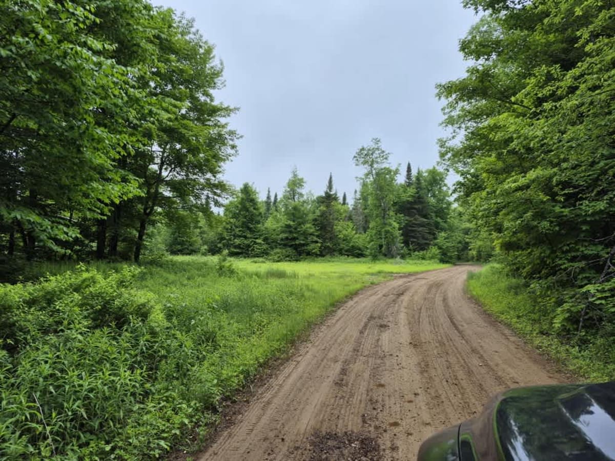 Long Level Road photo 3