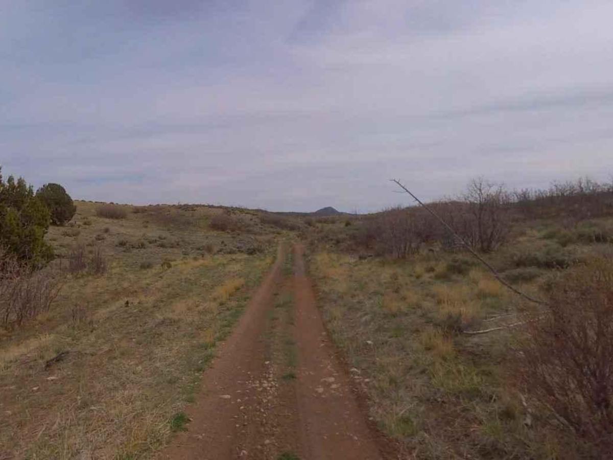 Dixie National Forest-FR31006 photo 5
