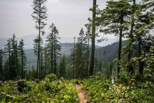 Beason Meadows 228 (Part 2)