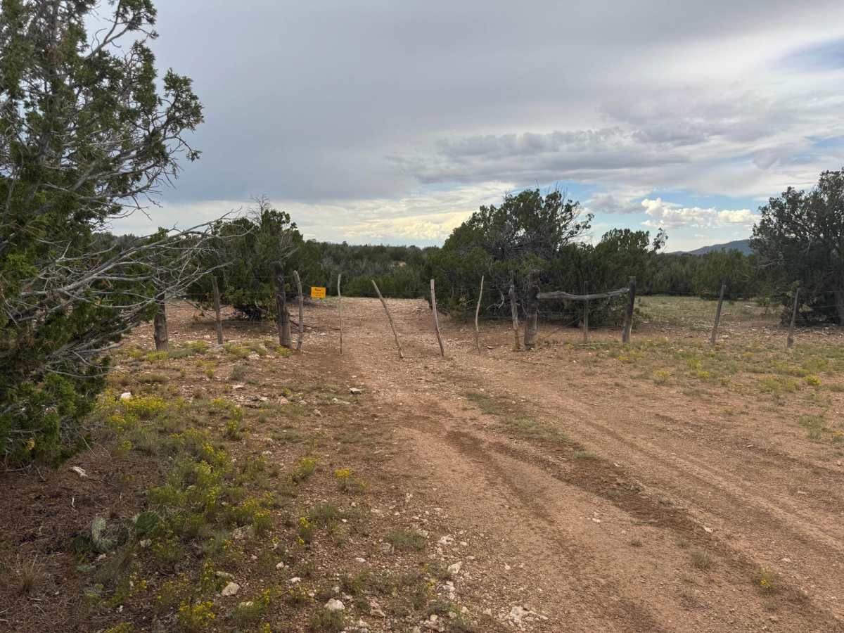 9423H Trail trail photo