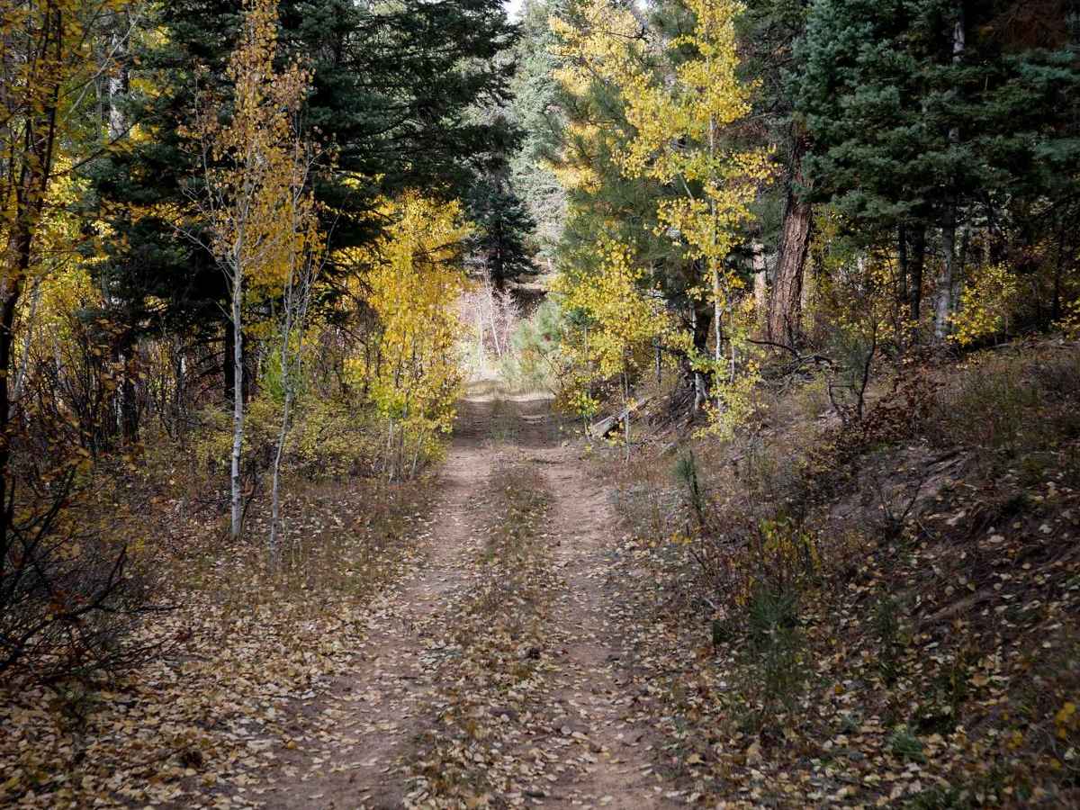 Mule Mountain Spur 1 trail photo
