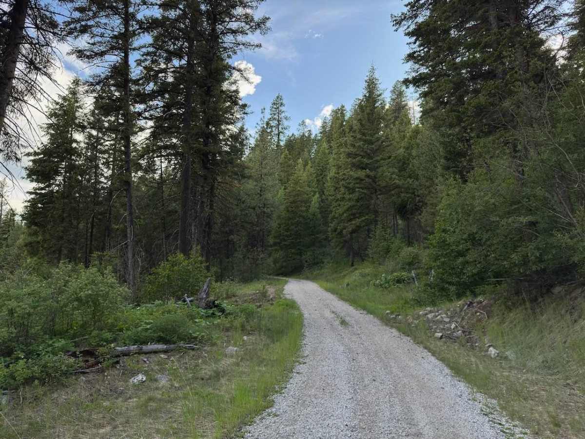 Crazy Creek photo 6