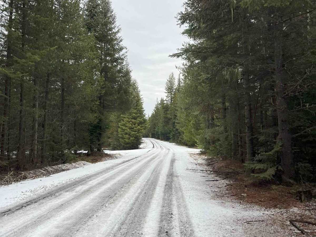 Forest Service 767 photo 3