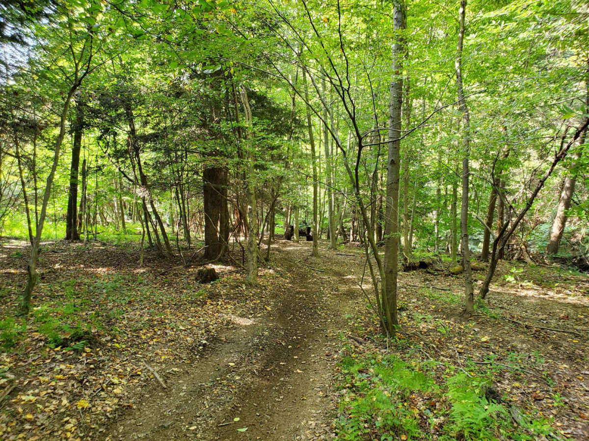 03 photo 2