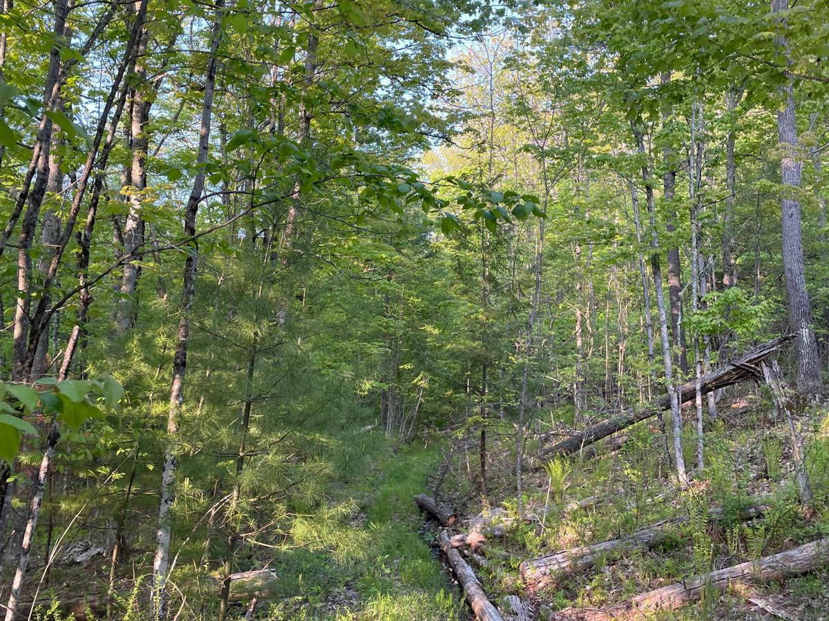 Farnum Road photo 4