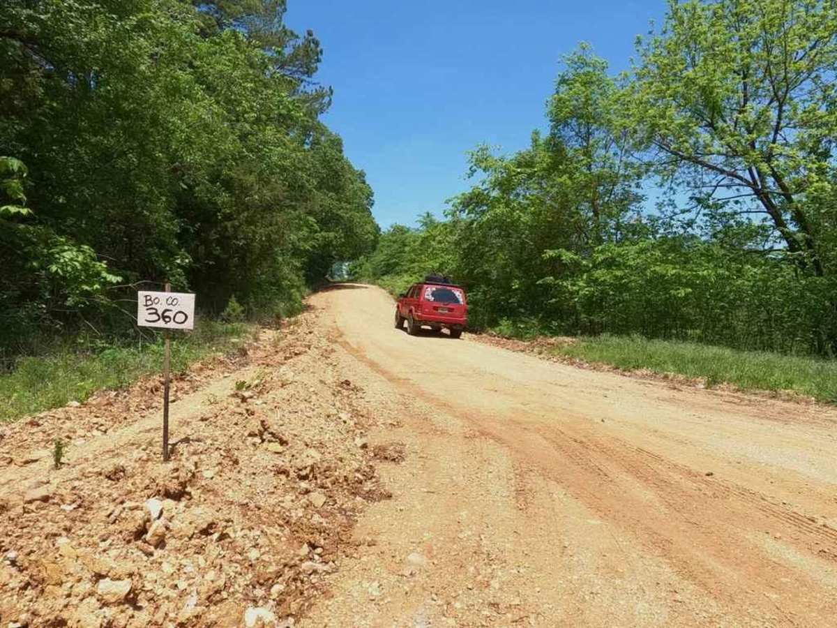 Blind Raccoon Bo-Co Road 360 photo 2