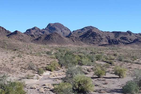 Four Peaks to Plomosa Road