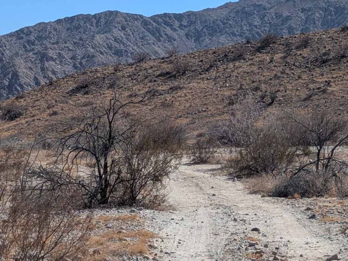 Sierra San Felipe Foothills photo 2