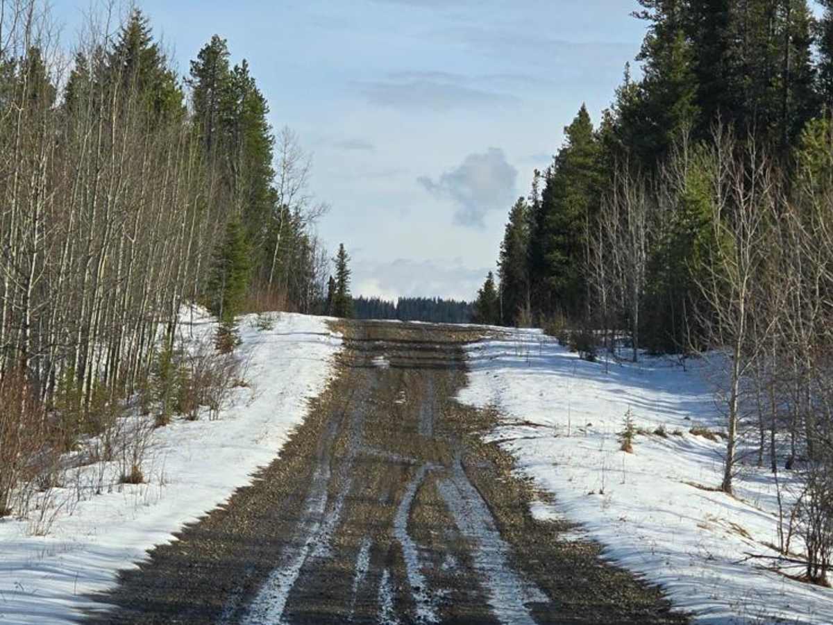 RR100 10-13 Access Road photo 5