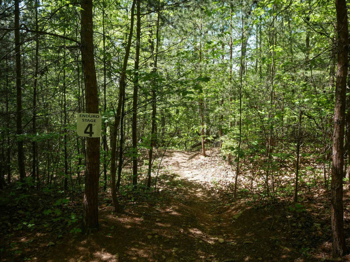 Stage 4 trail photo