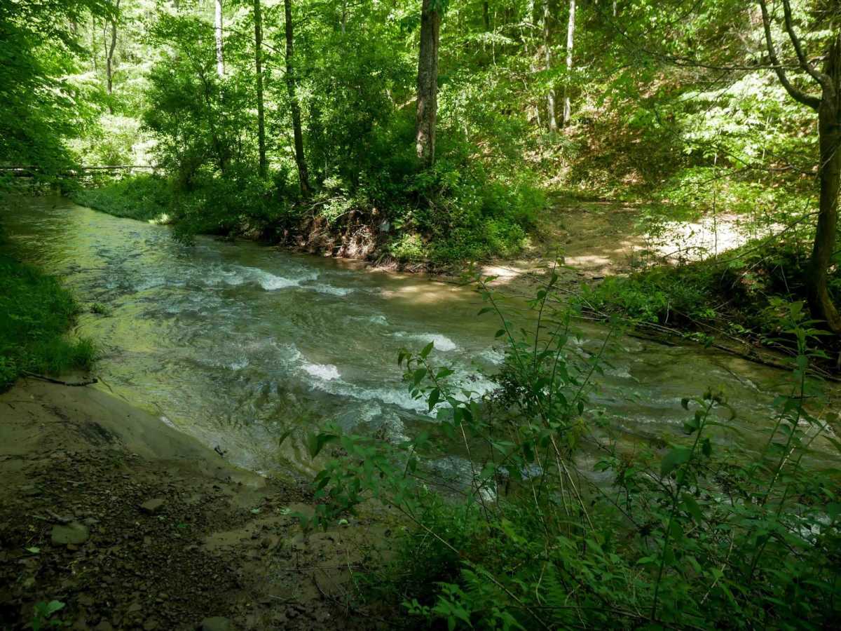 RV9 trail photo