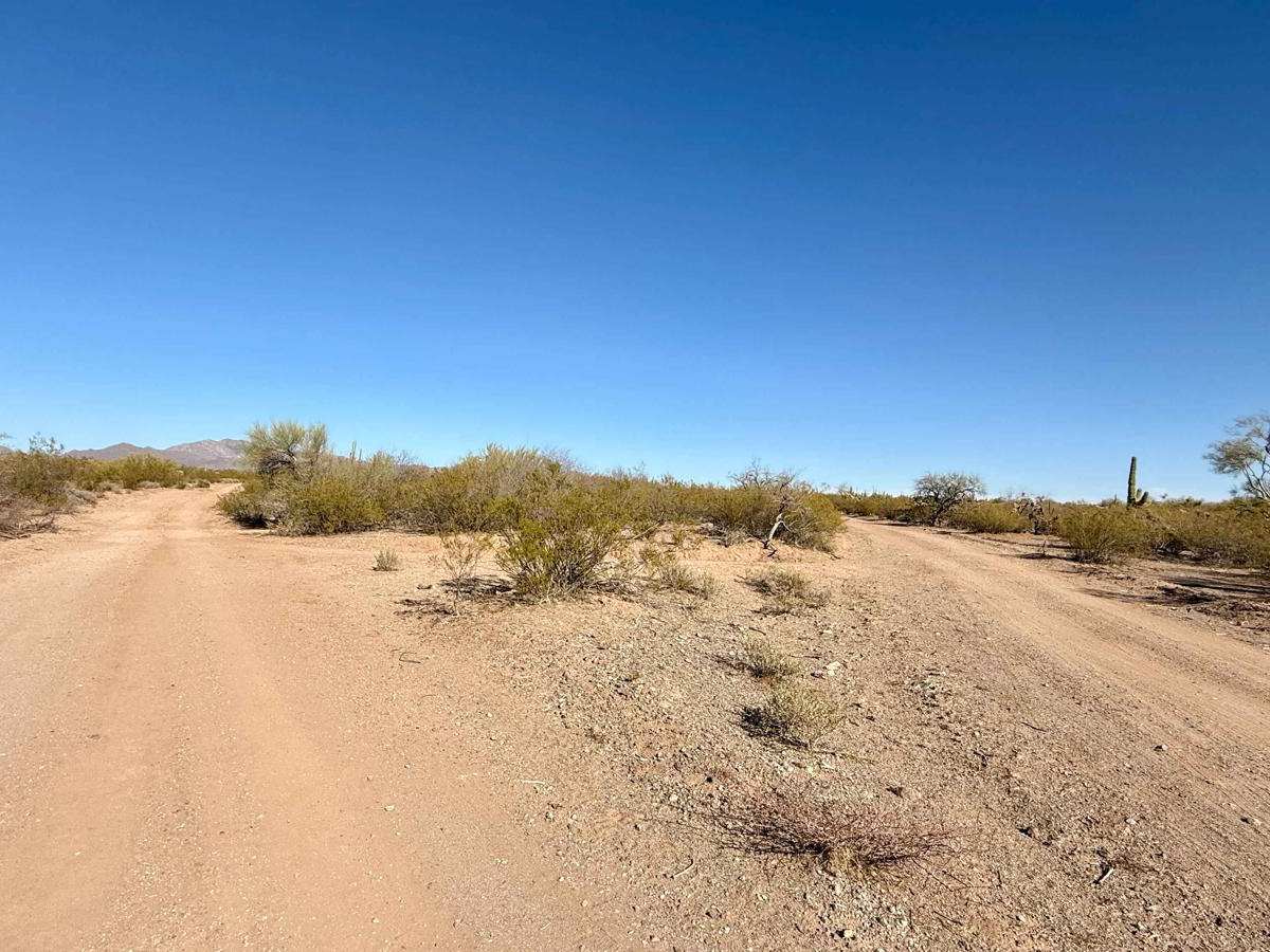 Western, East Willow Springs Road photo 4