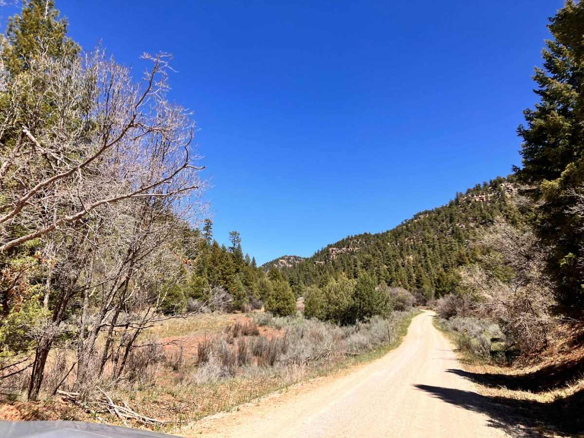 Wolf Draw Trail photo 6