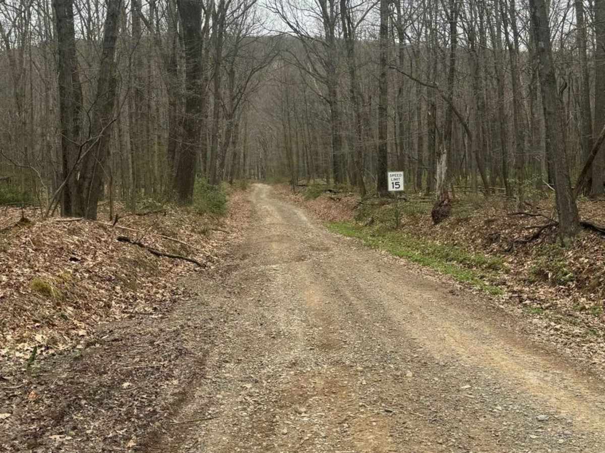Bald Eagle Pike trail photo