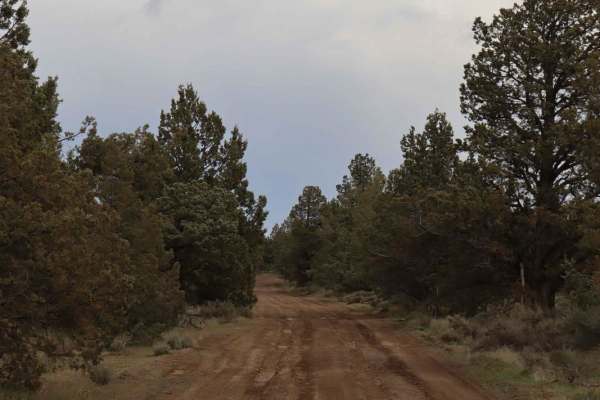 Remington Ranch Road Loop