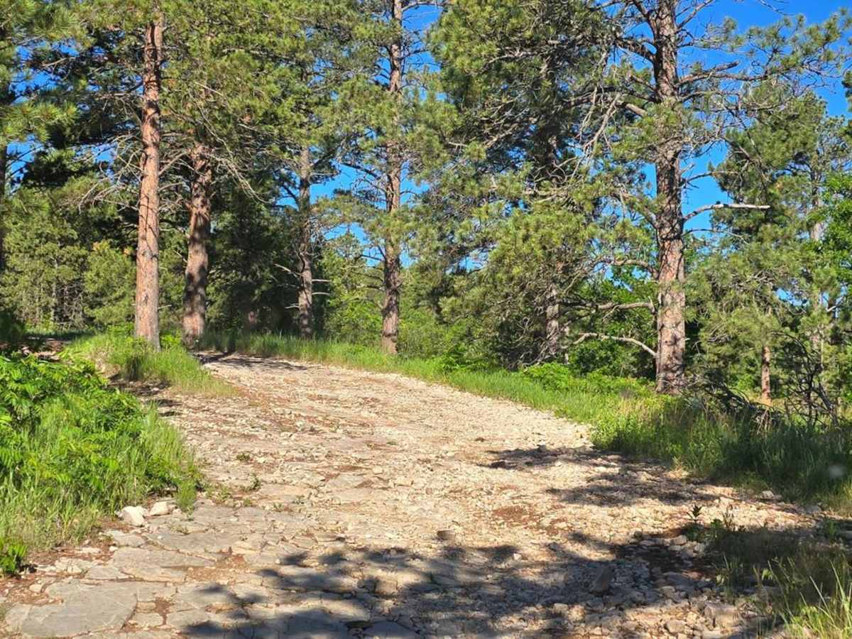 Black Hills Forest Access from Sturgis photo 3
