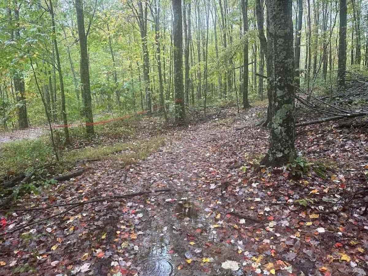 192 Single Track photo 3