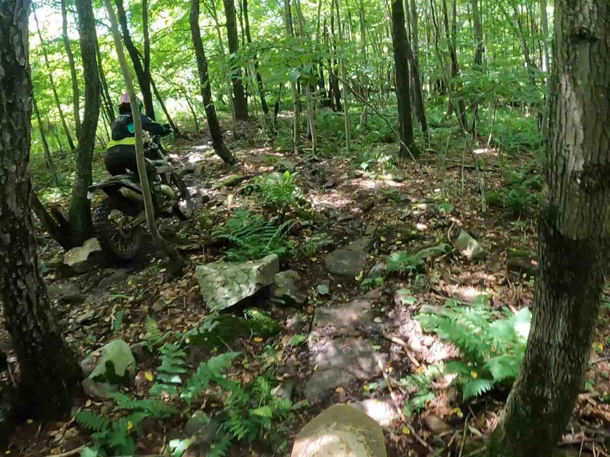 Mountain Ridge ATV Park Singletrack BD photo 5