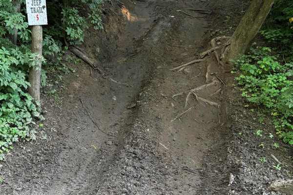 Jeep Trail 82