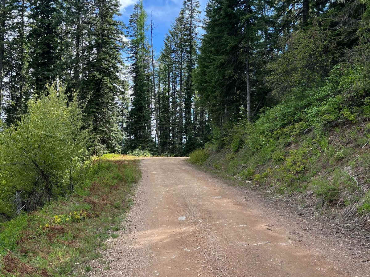 Canyon Fork Creek Road photo 5
