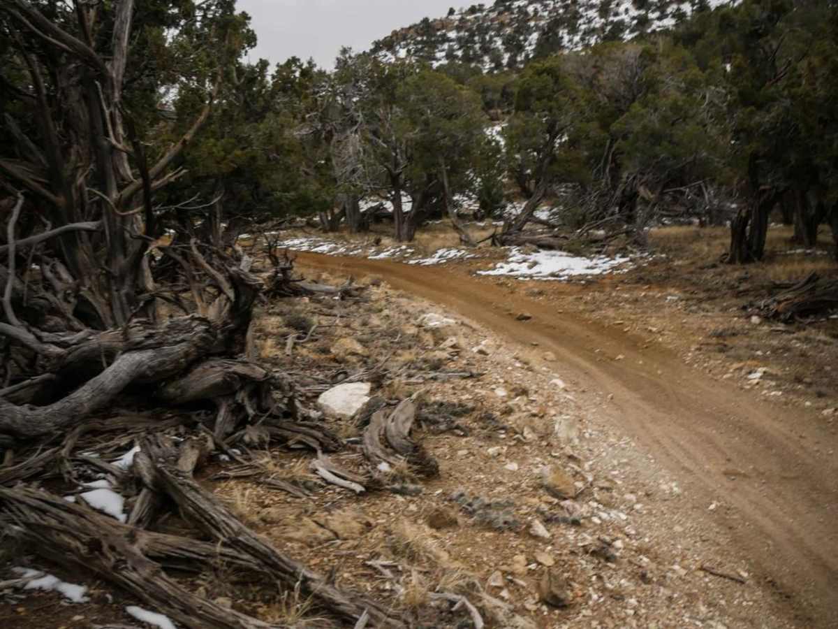 Sarlacc Trail photo 5