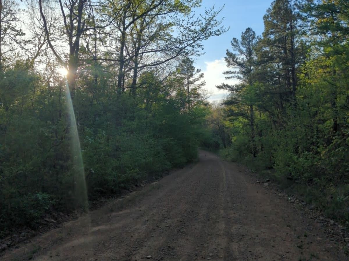 McMurtery Hollow photo 2