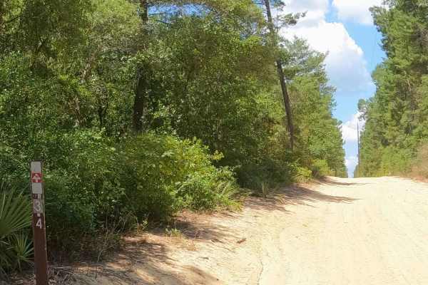 Hog Valley Trail