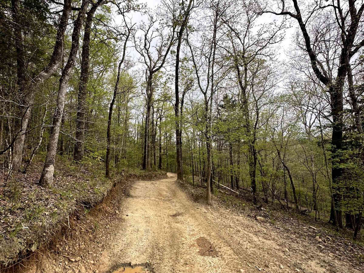 Trail 18 photo 5