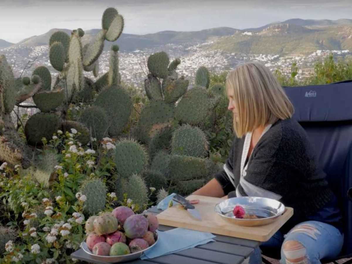 High Above Zacatecas photo 5