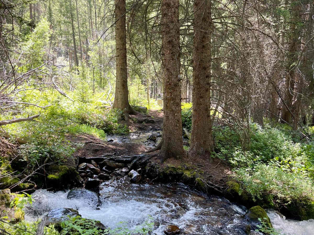 North Fork Big Creek photo 5