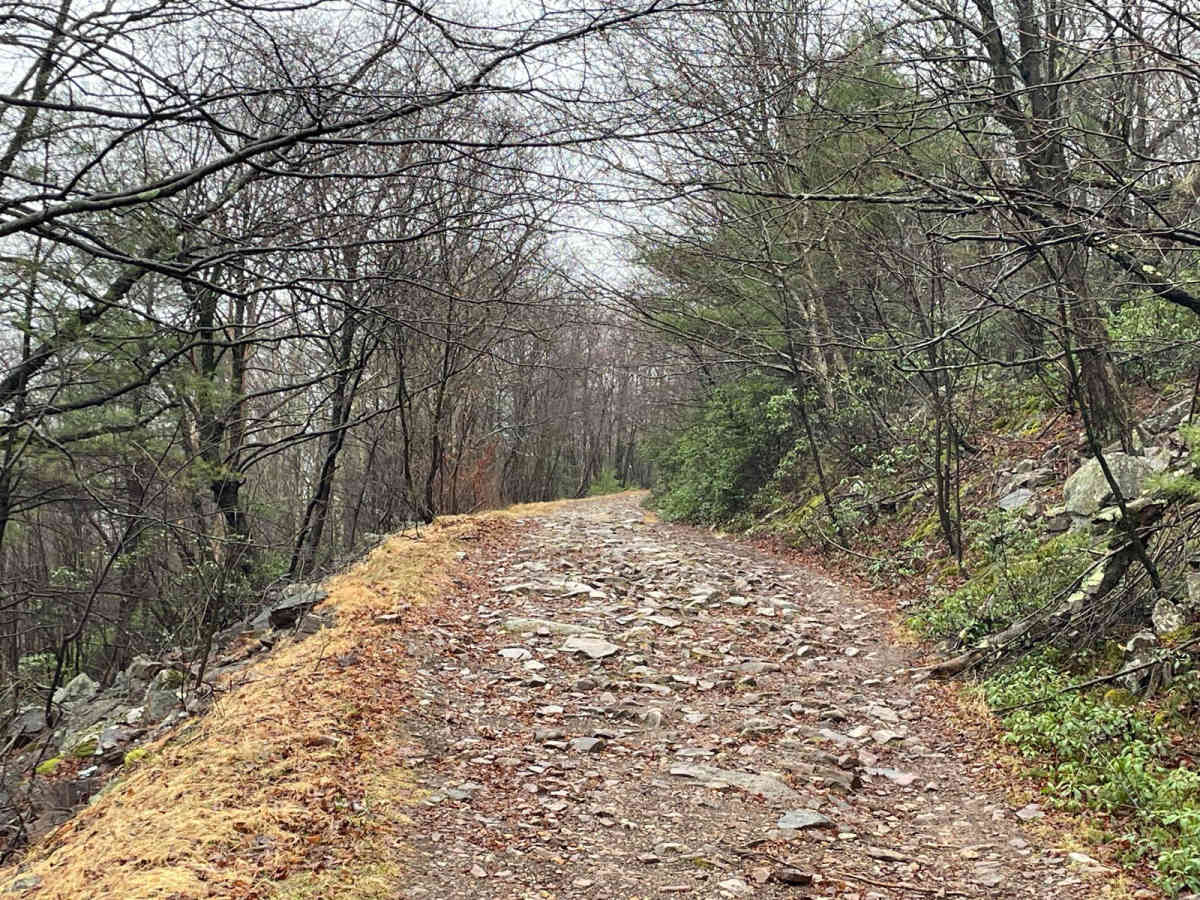 Strongs Mountain Trail (Mid Portion) photo 5