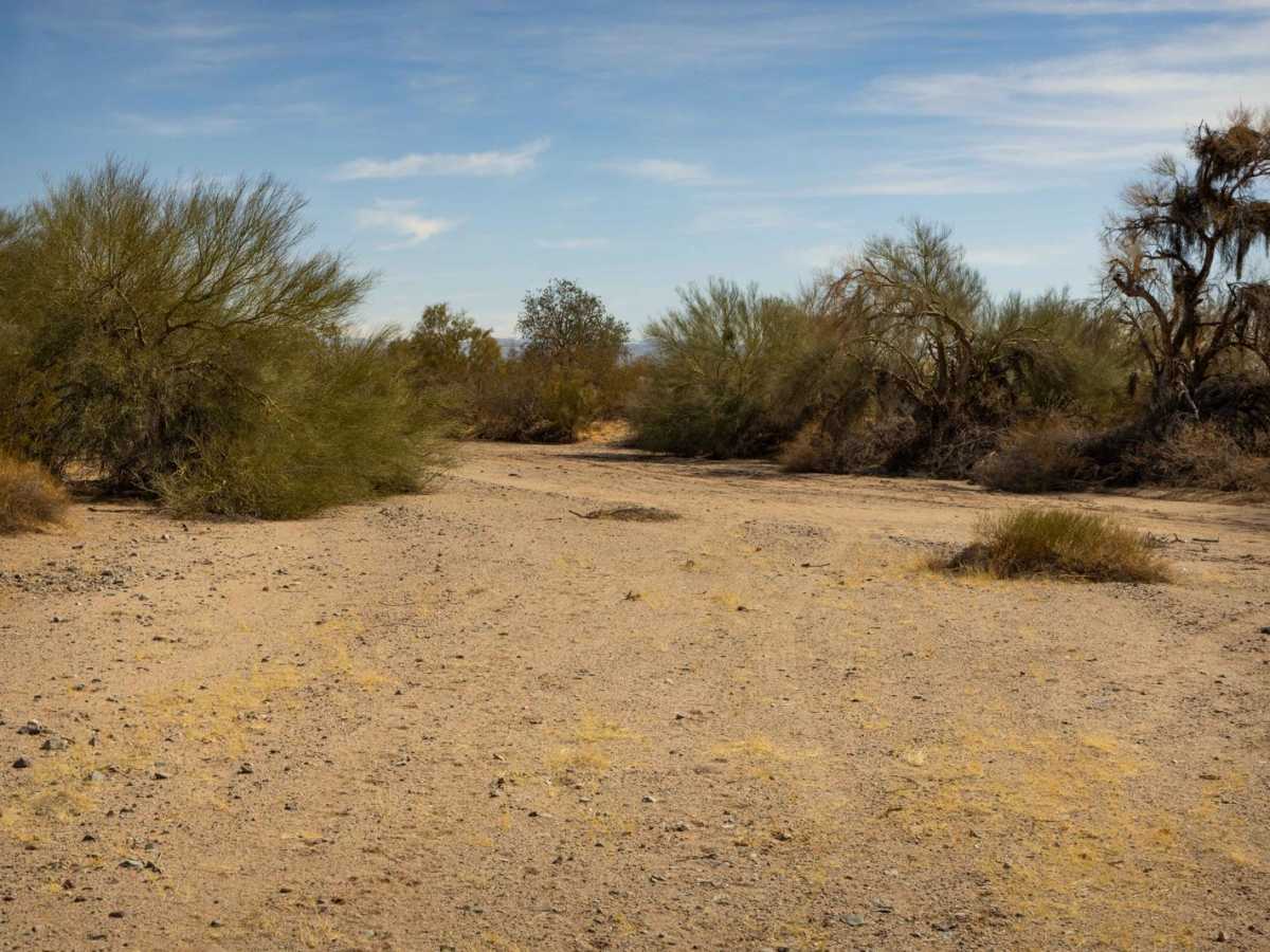 Parker Wash photo 2
