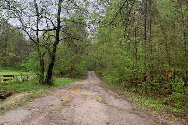 Blue Ridge Trail - Big Frog