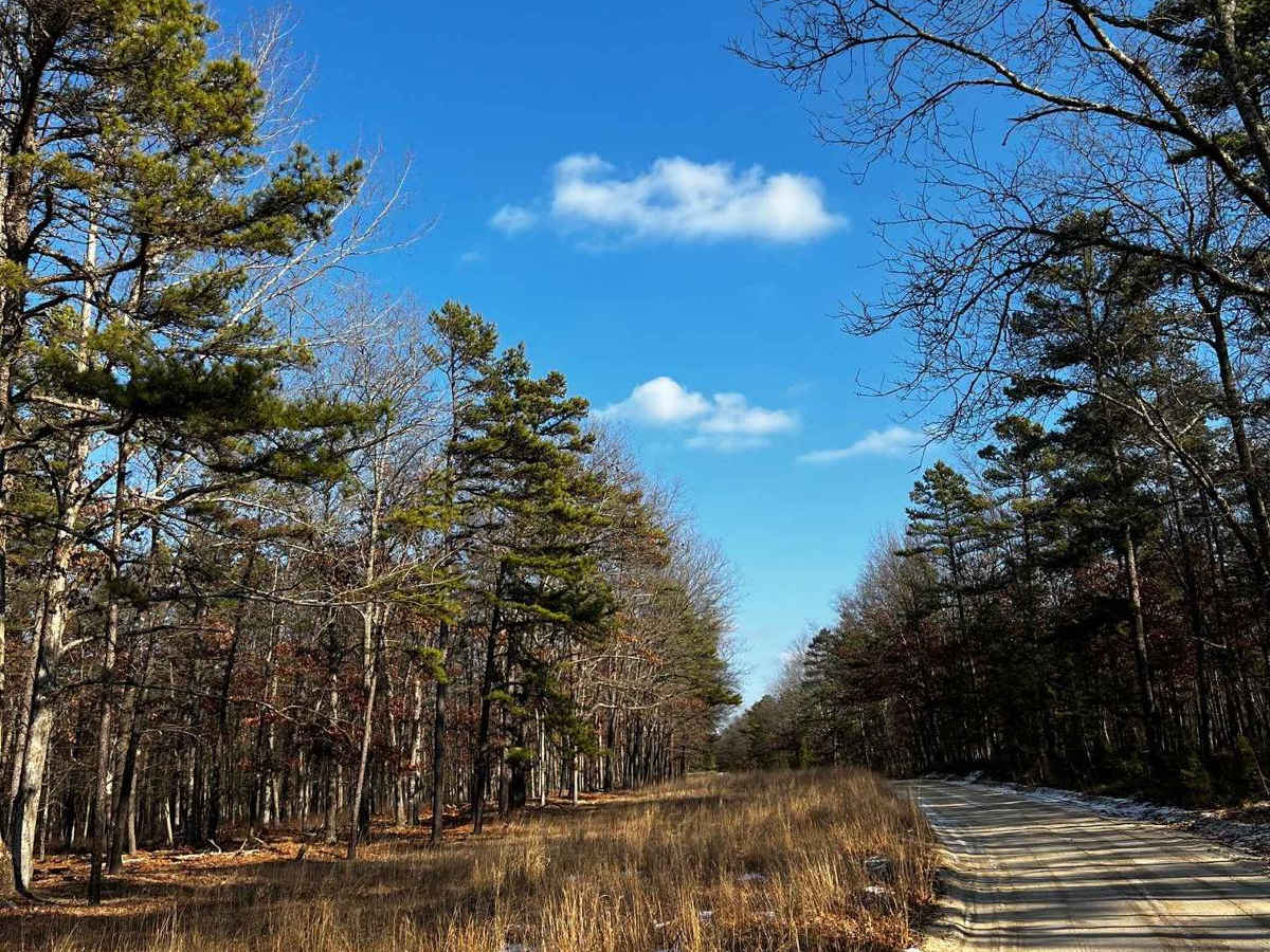 Webb Mill Road to 539 trail photo