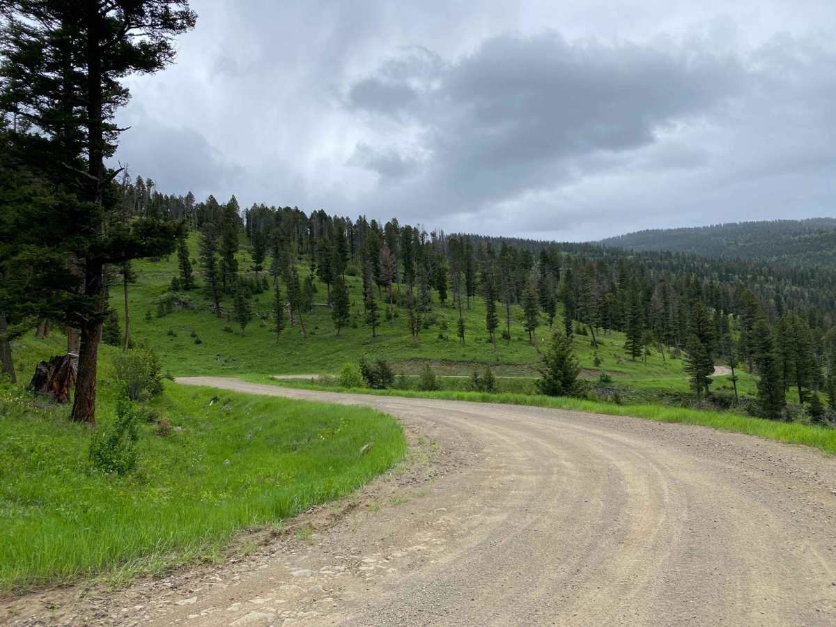 Start of Olsen Creek trail photo