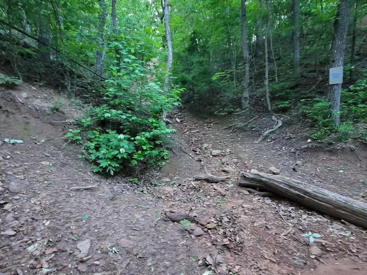 Still Hill photo 2