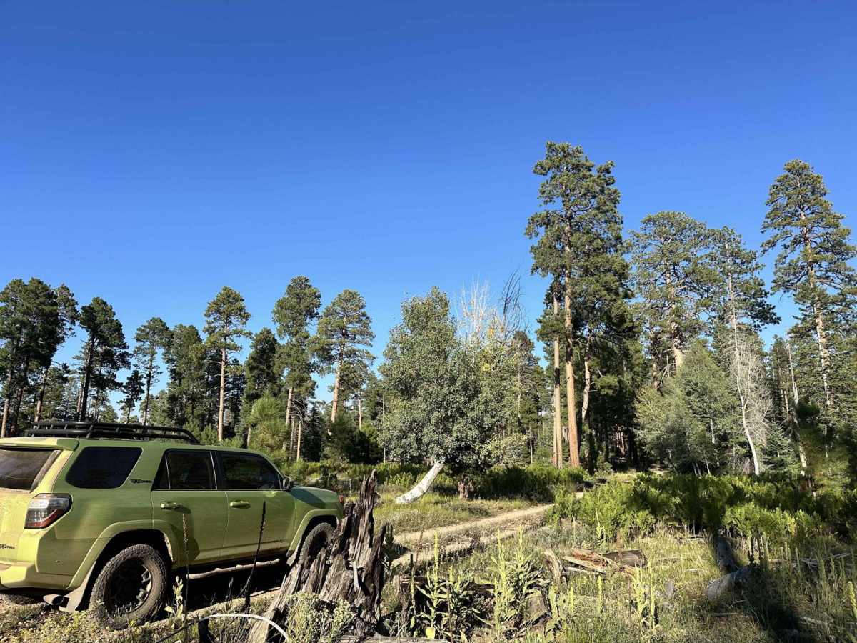 Swamp Point and North Bass Trailhead photo 4
