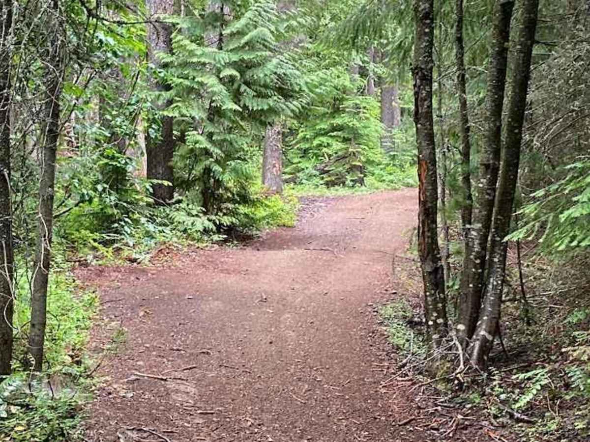 Kachess Lake Labyrinth - FS4828 photo 3