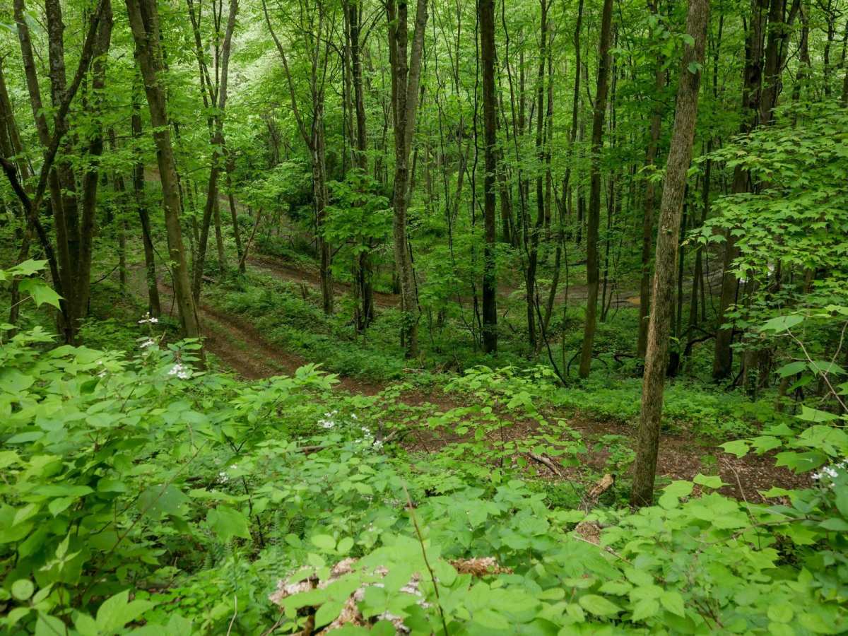 J70 trail photo