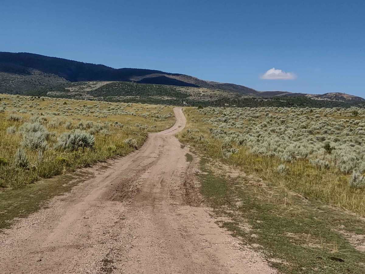 Clear Creek/Mill Creek - FS #40583, PST15A trail photo